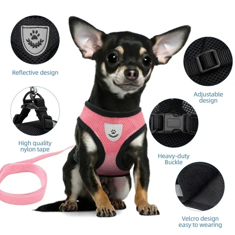 Adjustable Mesh Cat & Dog Harness Vest with Leash – Escape-Proof