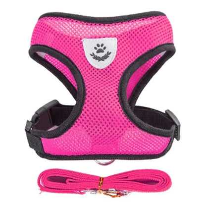 Adjustable Mesh Cat & Dog Harness Vest with Leash – Escape-Proof