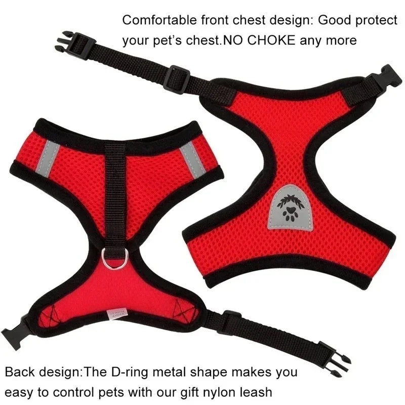 Adjustable Mesh Cat & Dog Harness Vest with Leash – Escape-Proof