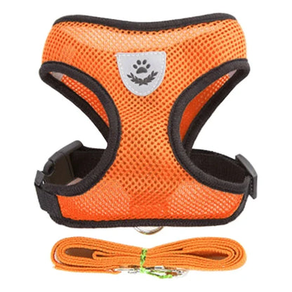 Adjustable Mesh Cat & Dog Harness Vest with Leash – Escape-Proof