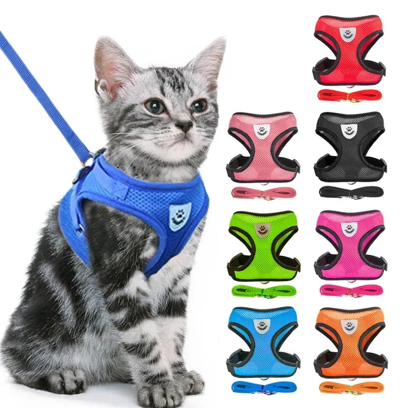 Adjustable Mesh Cat & Dog Harness Vest with Leash – Escape-Proof