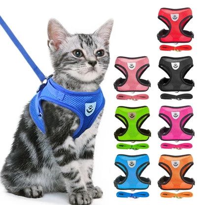 Adjustable Mesh Cat & Dog Harness Vest with Leash – Escape-Proof