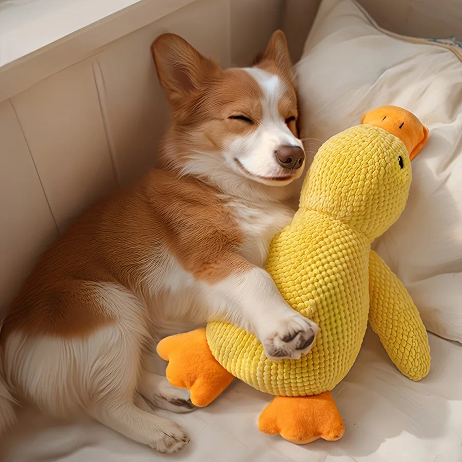 Squeaky Plush Duck Dog Toy – Bite-Resistant Chew Toy