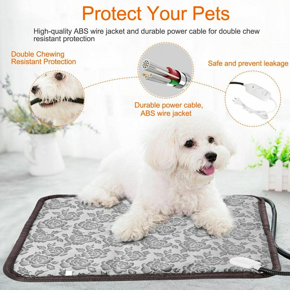 Adjustable Cat Harness & Leash Set — Reflective, Escape - Proof & Breathable - LOLO'S SHOP