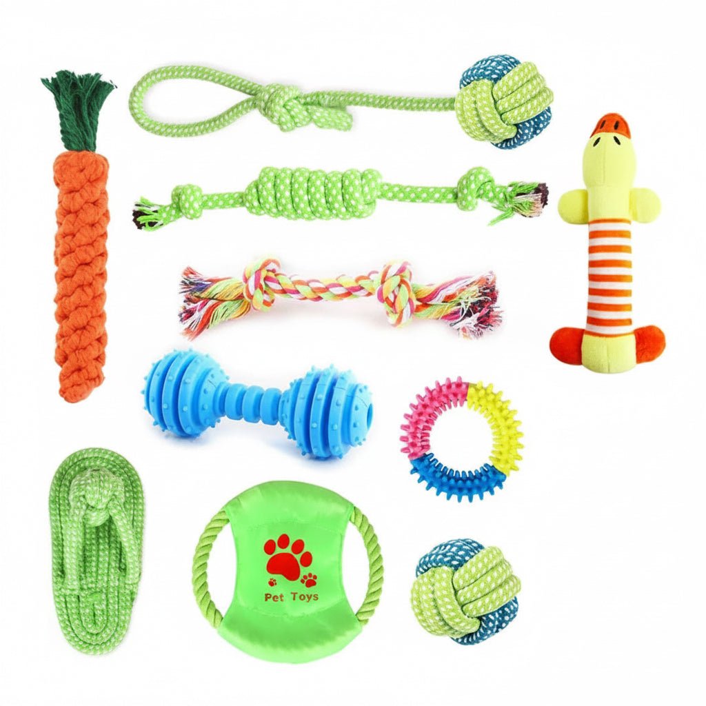 Bite - Resistant molar Dog Toys - 10 pcs - LOLO'S SHOP
