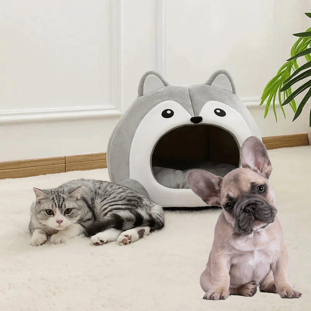 Cartoon Fox Theme Pet House - LOLO'S SHOP