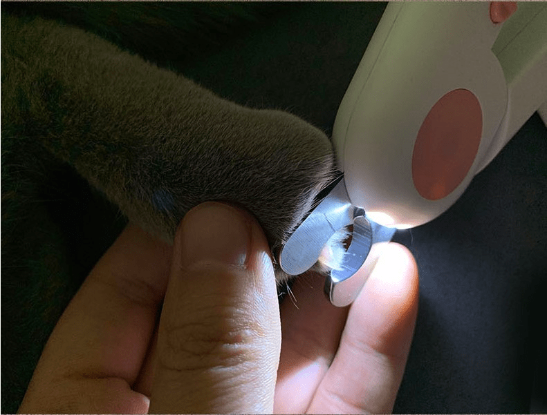 LED Pet Nail Clipper — See the Quick, Trim with Confidence - LOLO'S SHOP