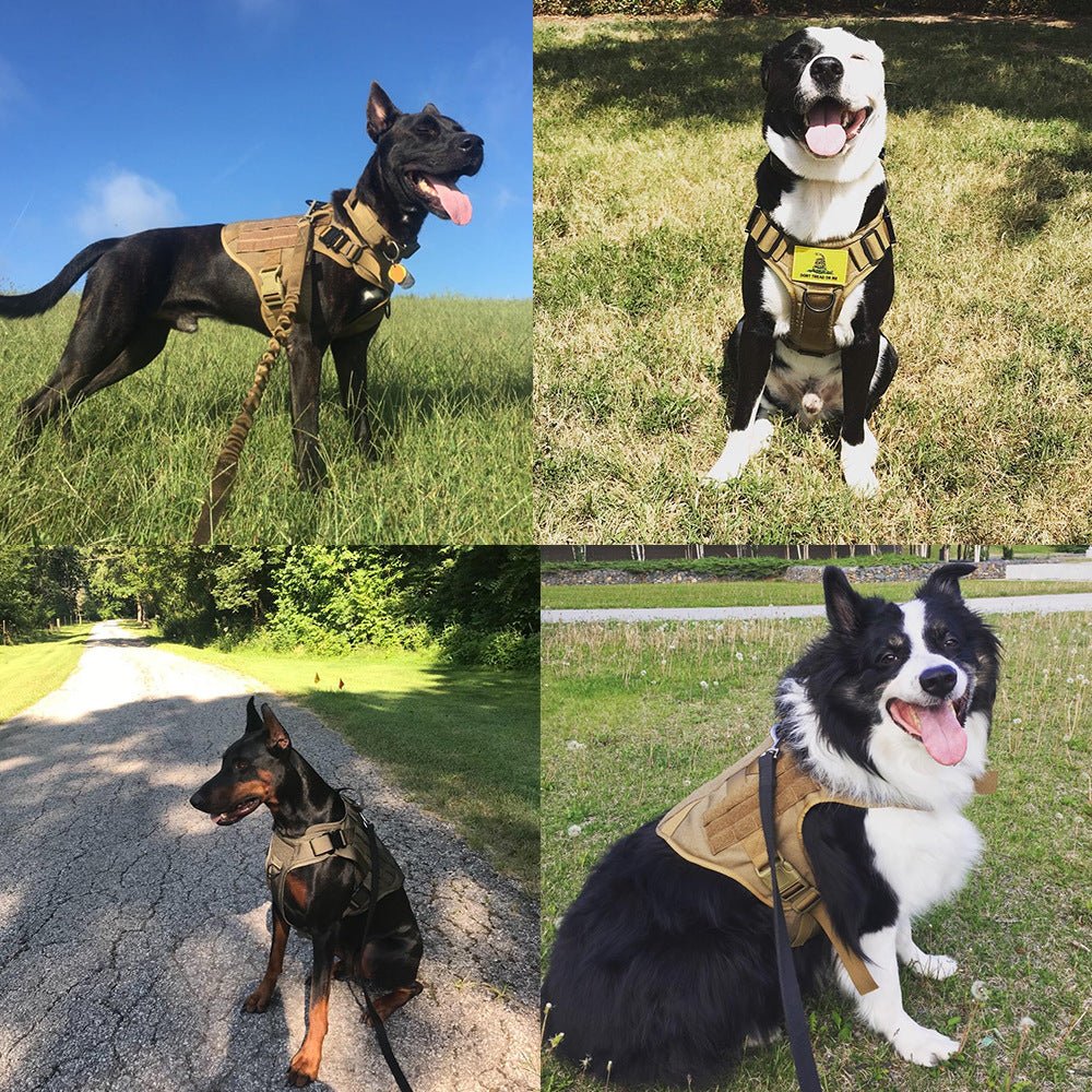 Military Tactical Dog Harness, Collar & Leash — Complete Control Set - LOLO'S SHOP