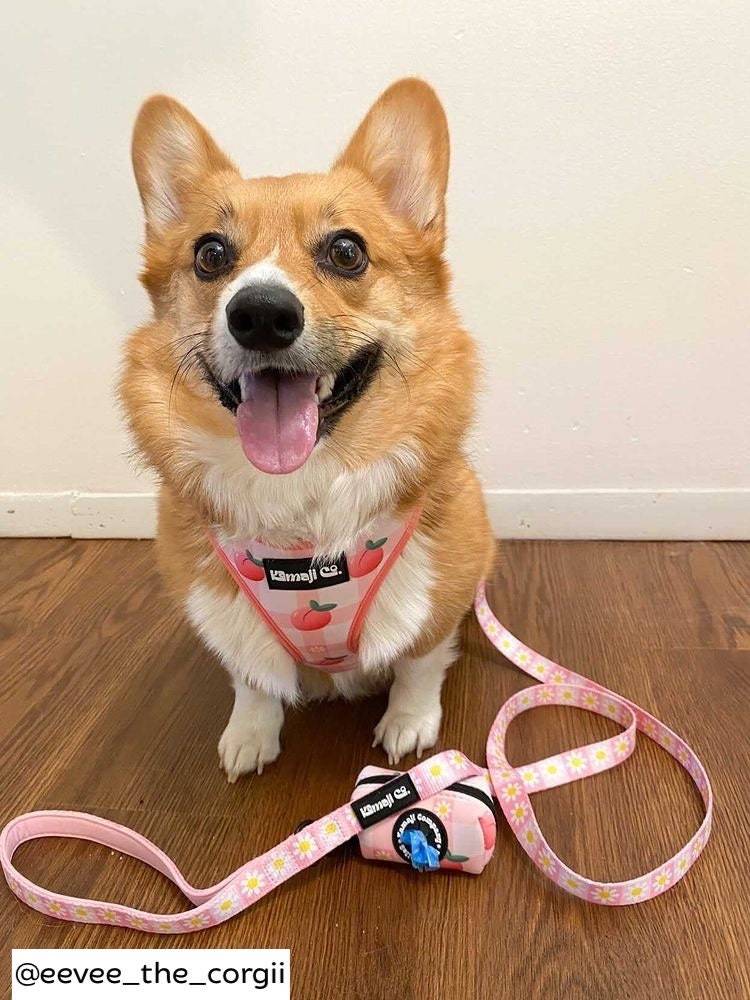 Precious Peach Adjustable Dog Harness — Floral Style, No - Pull Comfort - LOLO'S SHOP