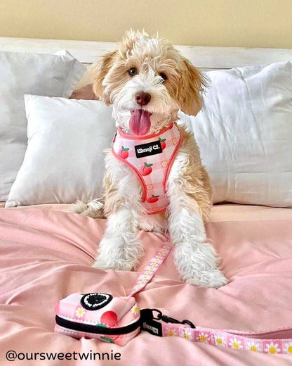 Precious Peach Adjustable Dog Harness — Floral Style, No - Pull Comfort - LOLO'S SHOP
