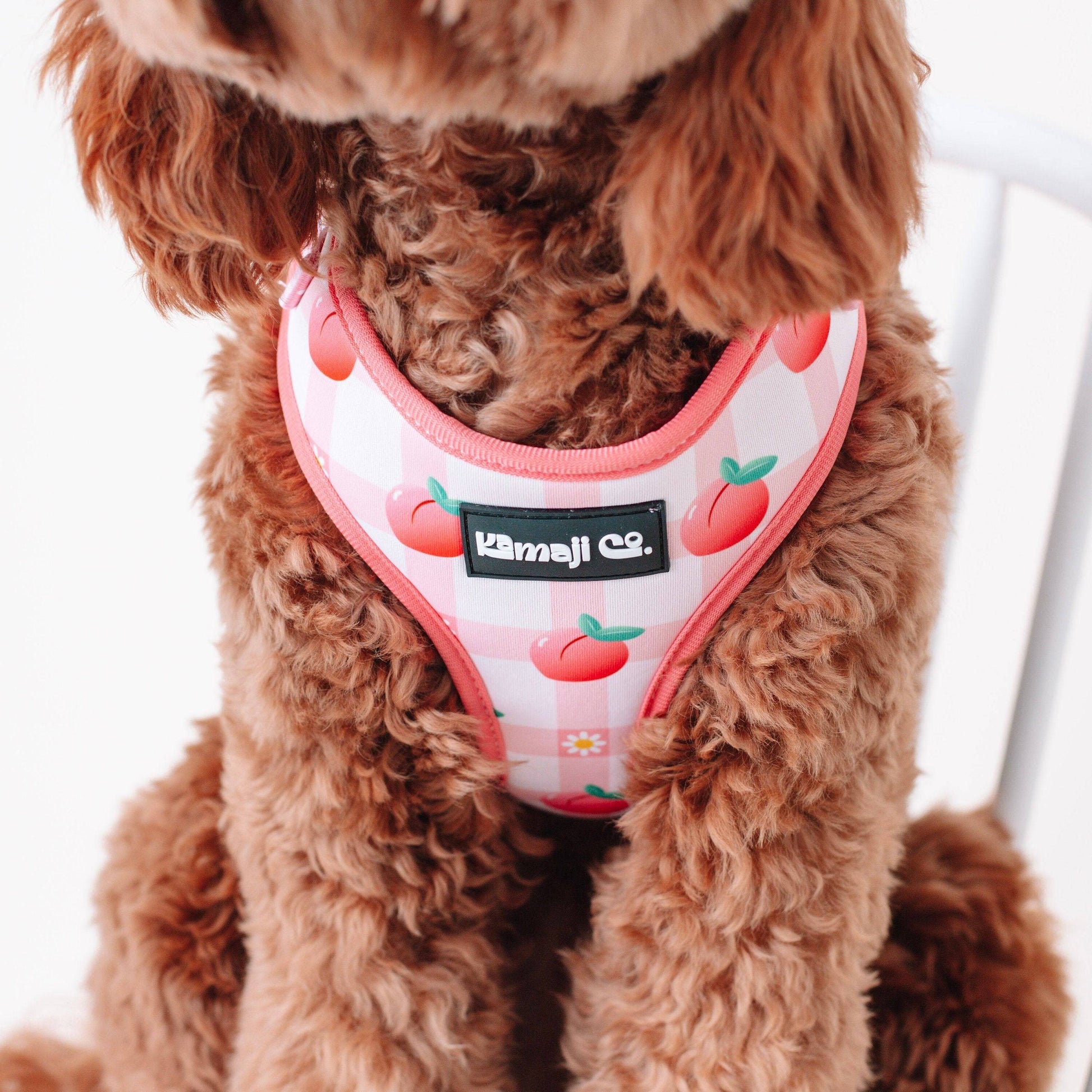 Precious Peach Adjustable Dog Harness — Floral Style, No - Pull Comfort - LOLO'S SHOP