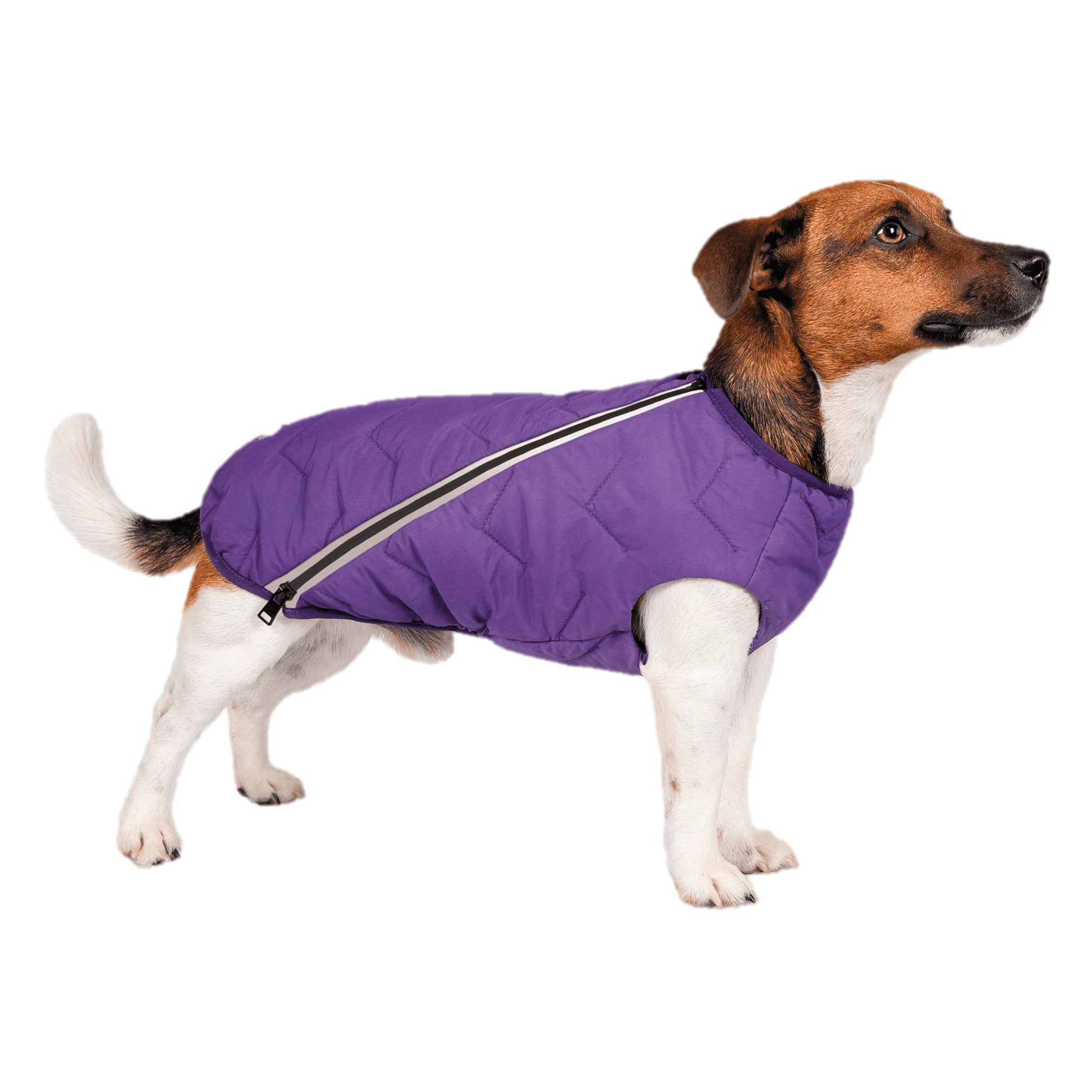 Sustainable Eco - Friendly Dog Vest — Waterproof, Windproof, 80% Recycled - LOLO'S SHOP