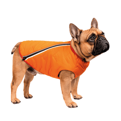 Sustainable Eco - Friendly Dog Vest — Waterproof, Windproof, 80% Recycled - LOLO'S SHOP