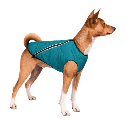 Sustainable Eco - Friendly Dog Vest — Waterproof, Windproof, 80% Recycled - LOLO'S SHOP