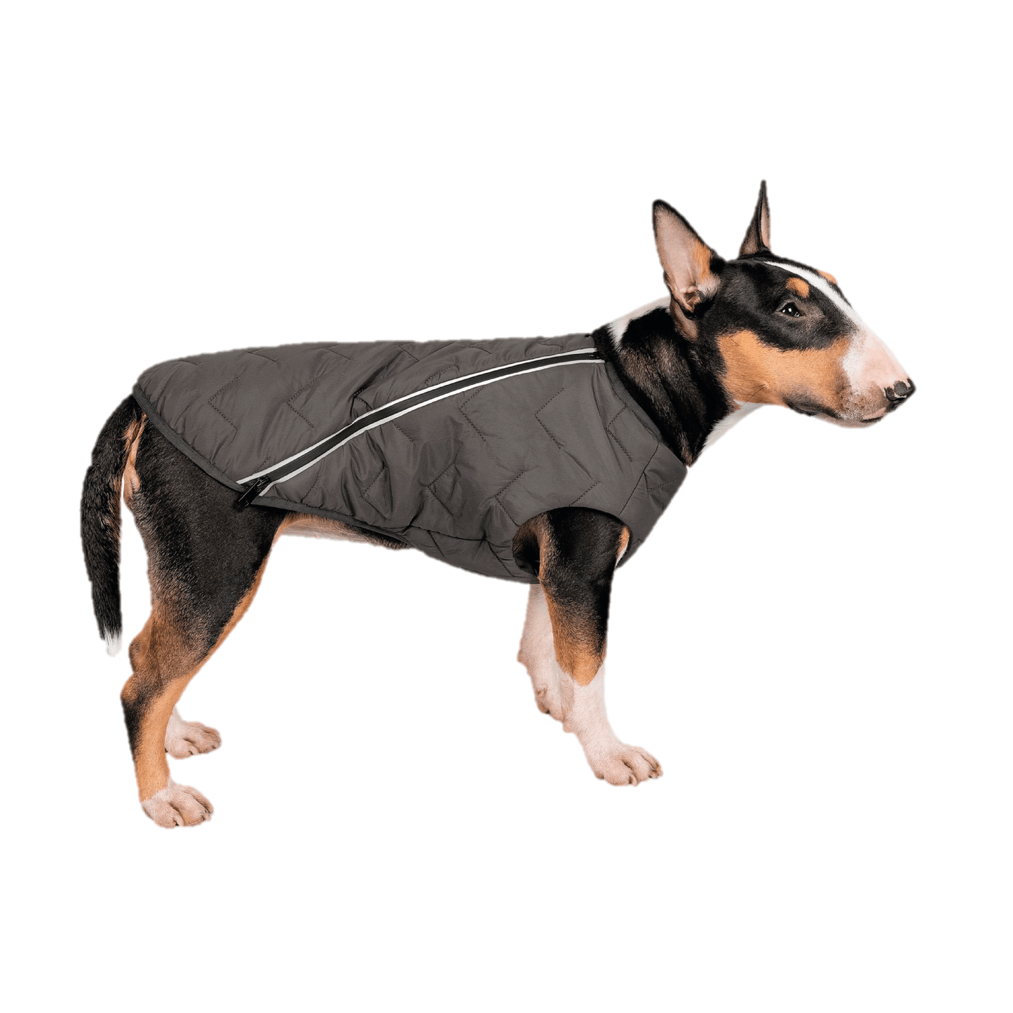 Sustainable Eco - Friendly Dog Vest — Waterproof, Windproof, 80% Recycled - LOLO'S SHOP