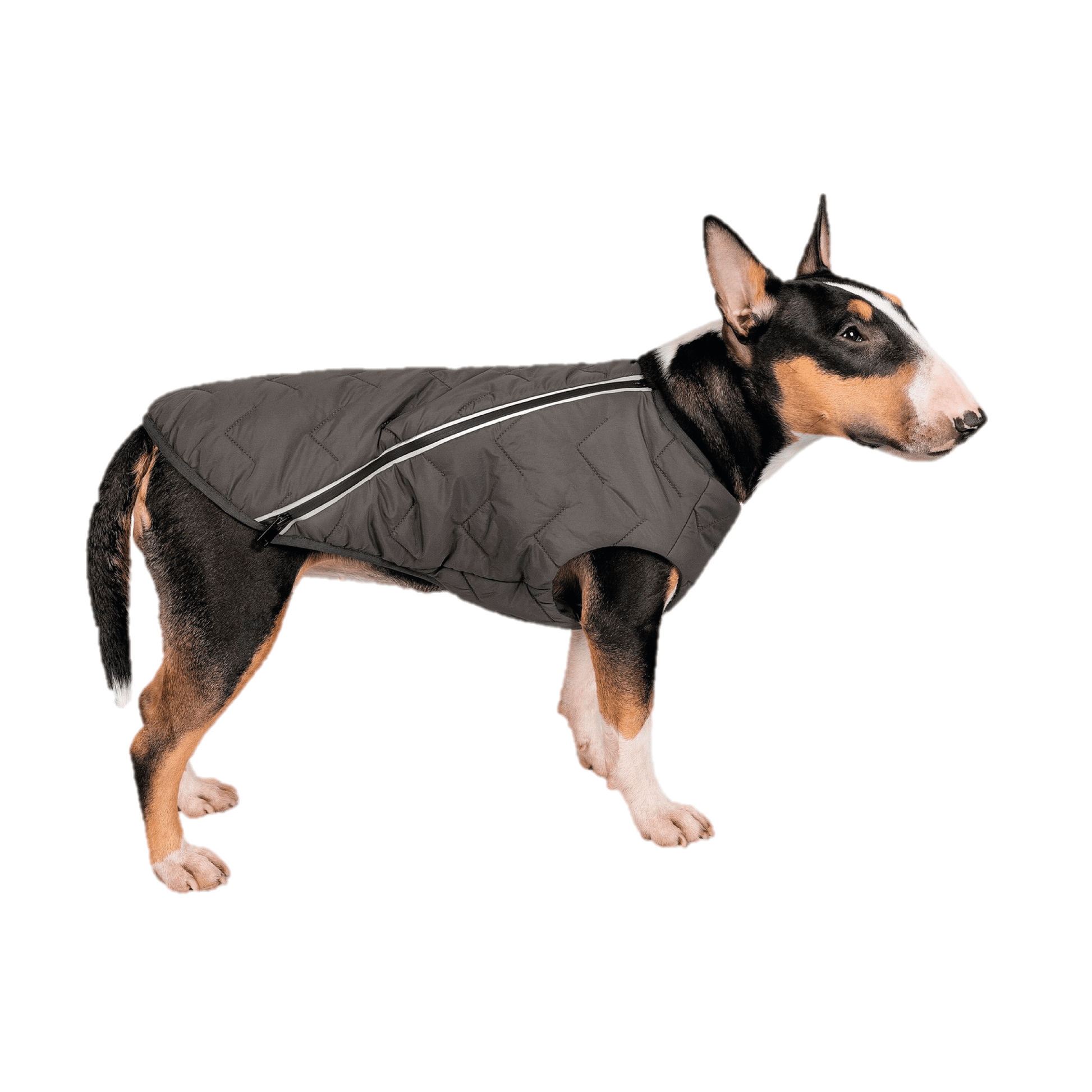 Sustainable Eco - Friendly Dog Vest — Waterproof, Windproof, 80% Recycled - LOLO'S SHOP