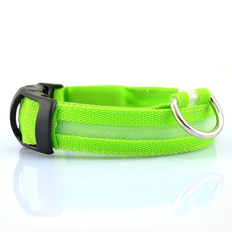 USB Rechargeable LED Dog Collar — Stay Visible on Every Night Walk - LOLO'S SHOP