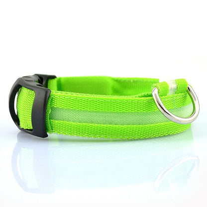 USB Rechargeable LED Dog Collar — Stay Visible on Every Night Walk - LOLO'S SHOP
