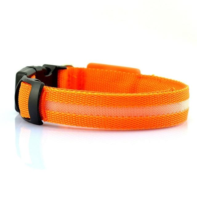 USB Rechargeable LED Dog Collar — Stay Visible on Every Night Walk - LOLO'S SHOP