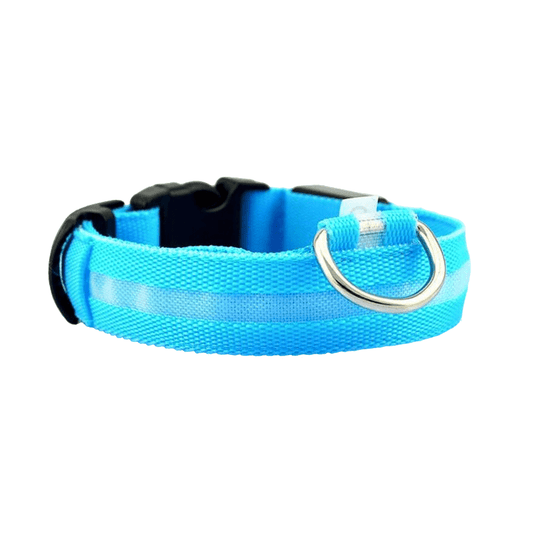 USB Rechargeable LED Dog Collar — Stay Visible on Every Night Walk - LOLO'S SHOP