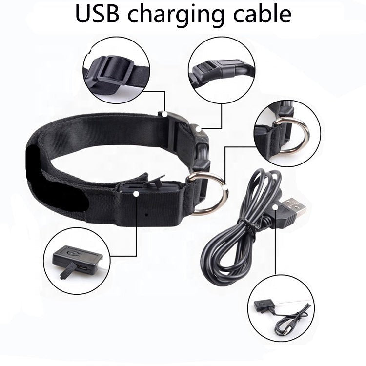 USB Rechargeable LED Dog Collar — Stay Visible on Every Night Walk - LOLO'S SHOP