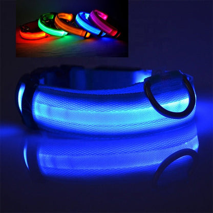 USB Rechargeable LED Dog Collar — Stay Visible on Every Night Walk - LOLO'S SHOP